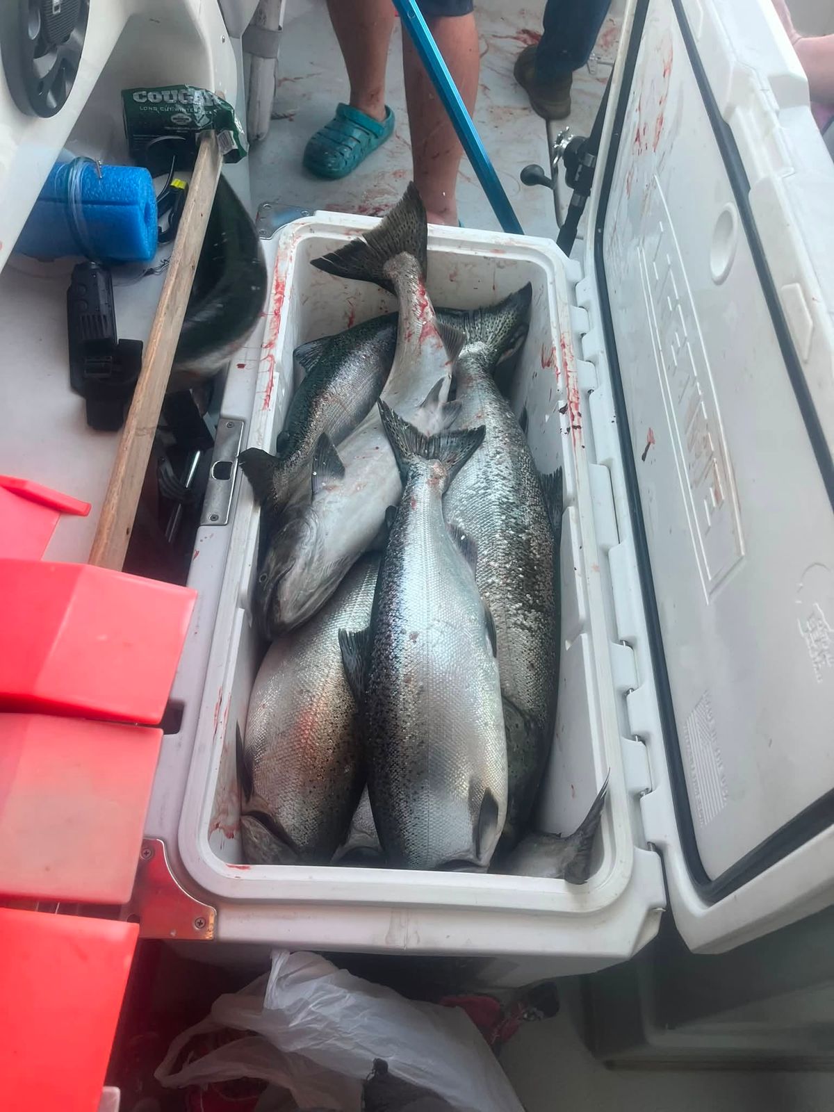 A cooler full of freshly caught Lake Michigan trout and salmon on deck
