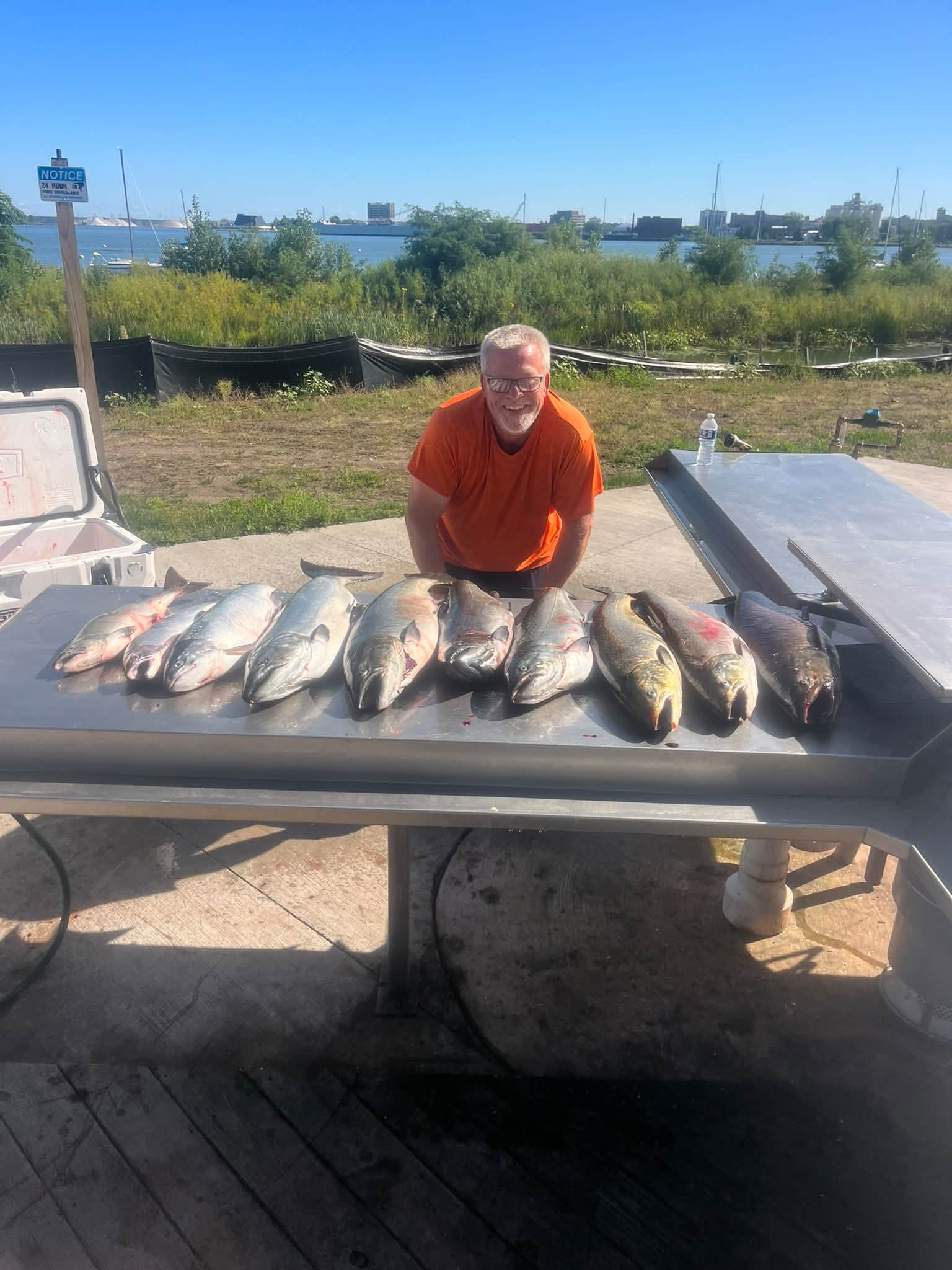 A successful catch of multiple freshwater fish displayed on a table at the dock, showcasing the results of a Too Ez Sportfishing charter.